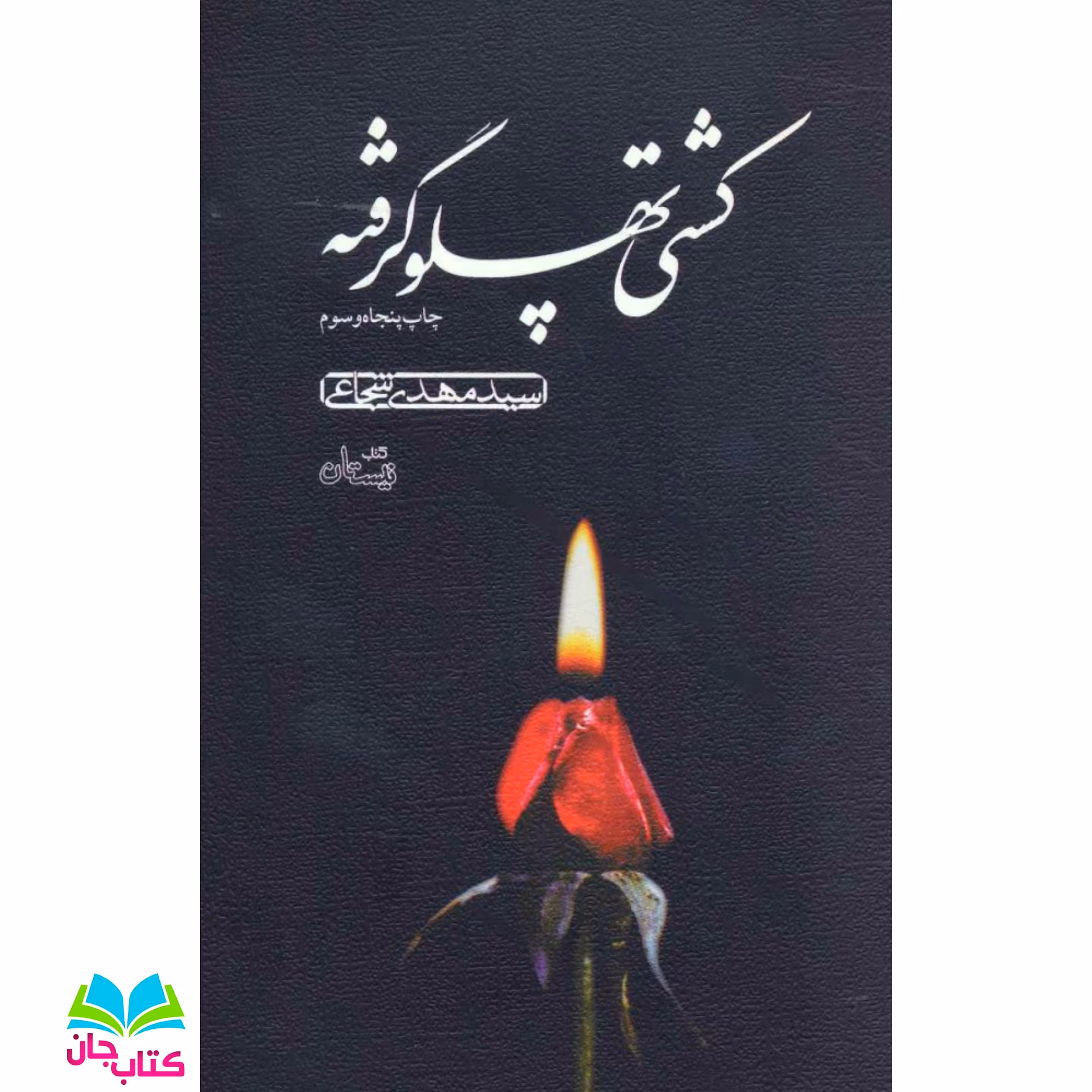 کتاب کشتی پهلو گرفته اثر سید مهدی شجاعی انتشارات نیستان