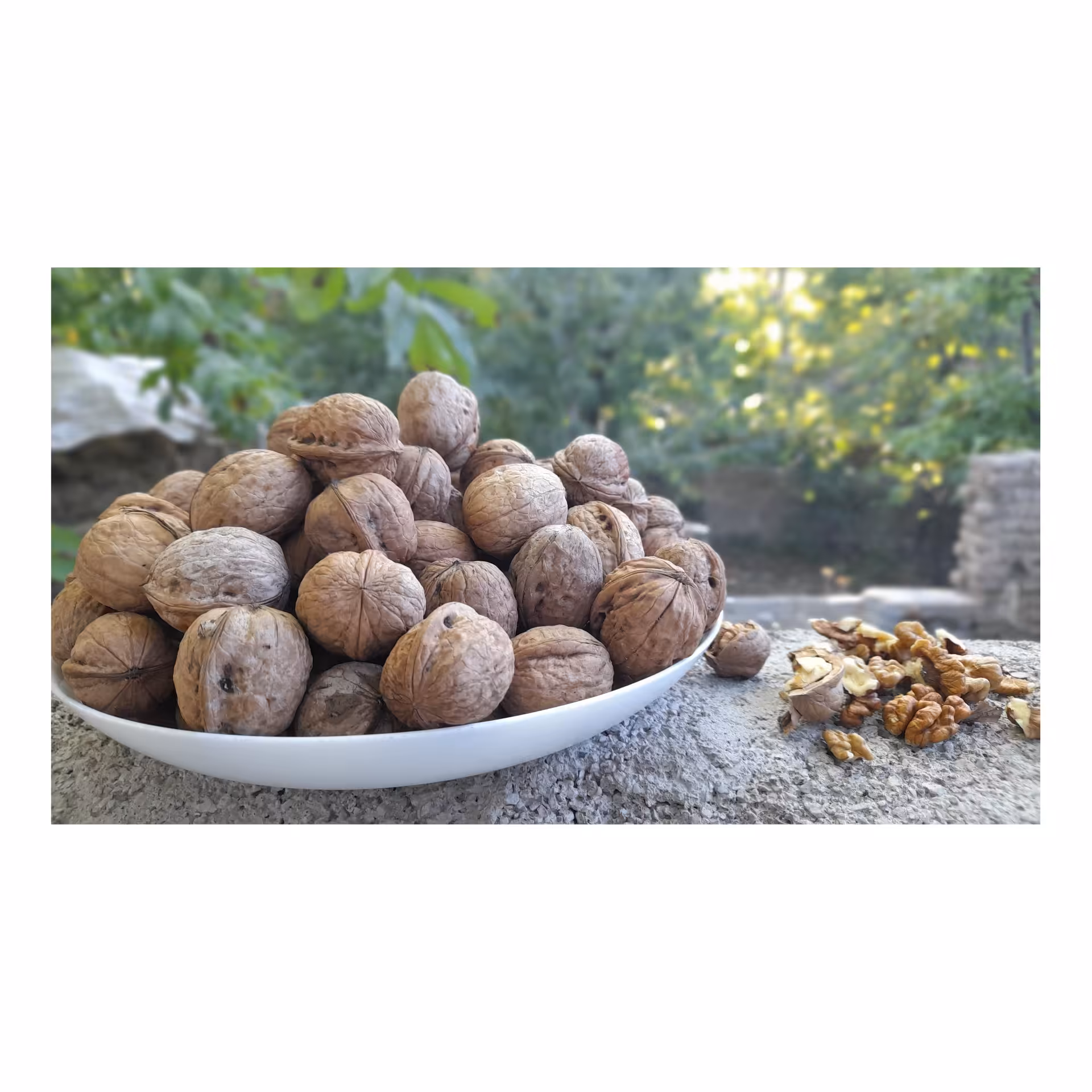 گردو ایرانی مخلوط