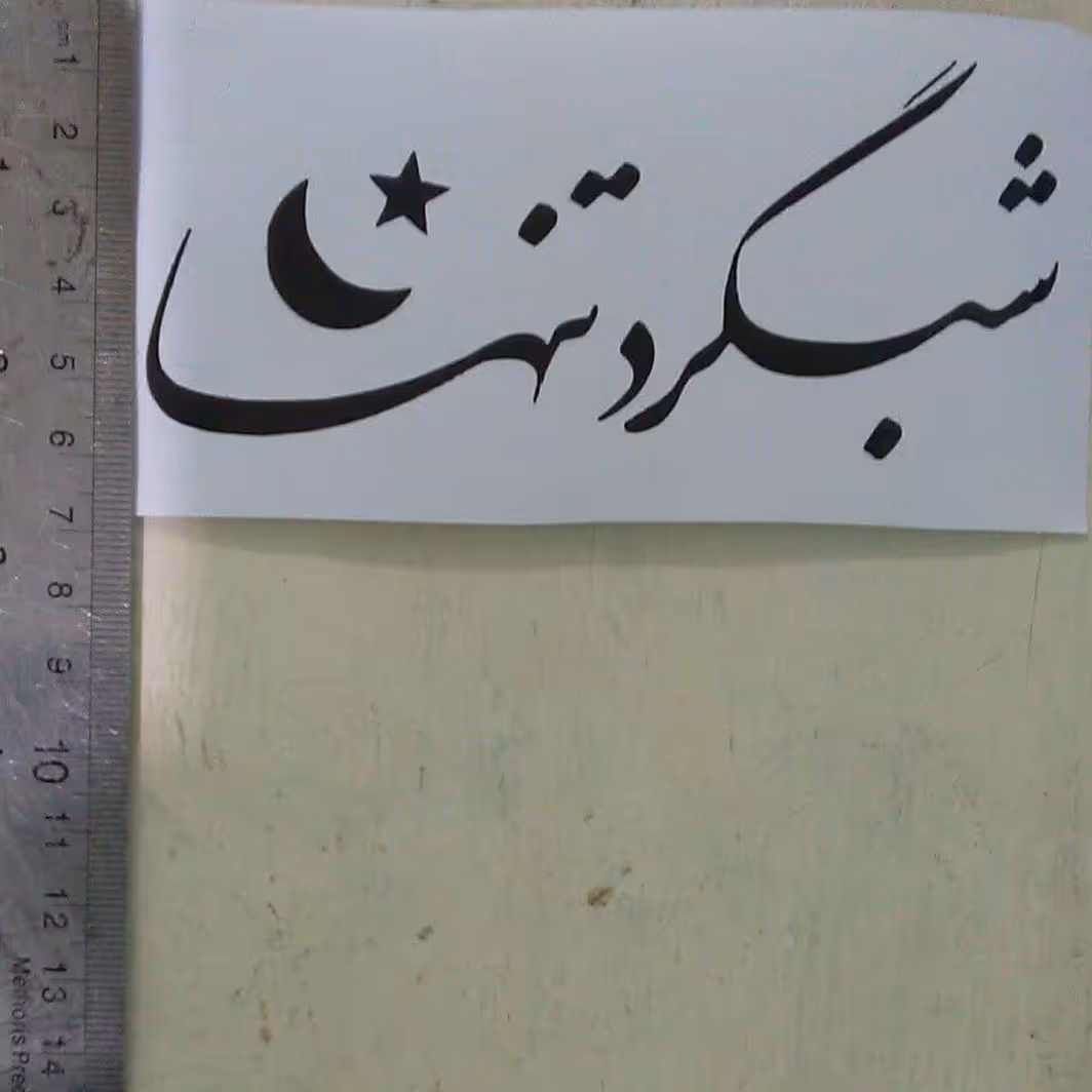 برچسب شبگرد تنها