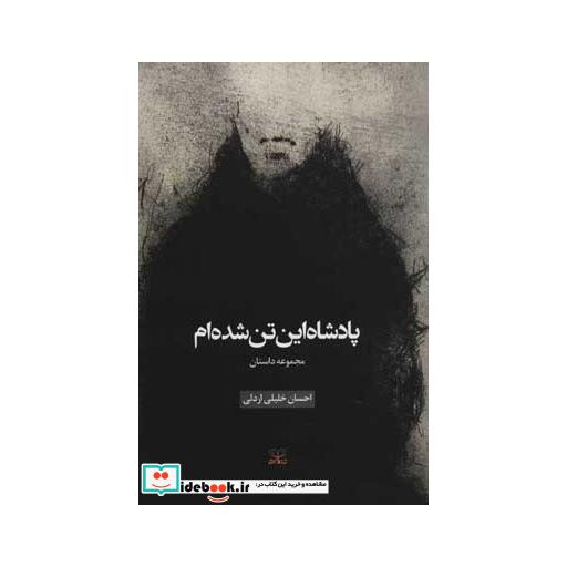 کتاب پادشاه این تن شده ام (مجموعه داستان) اثر احسان خلیلی اردلی