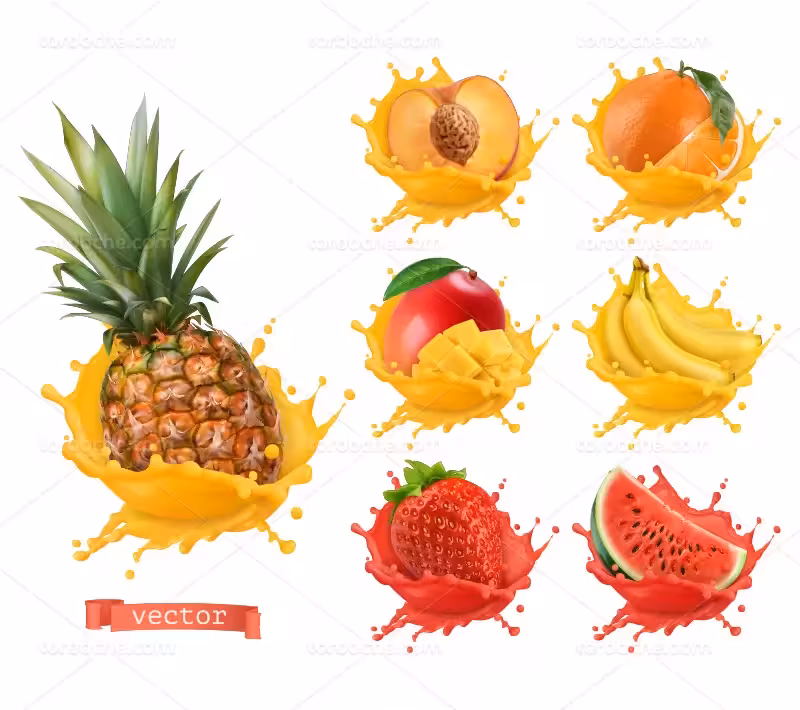 وکتور اسپلش میوه های تازه | گرافیک با طعم تربچه