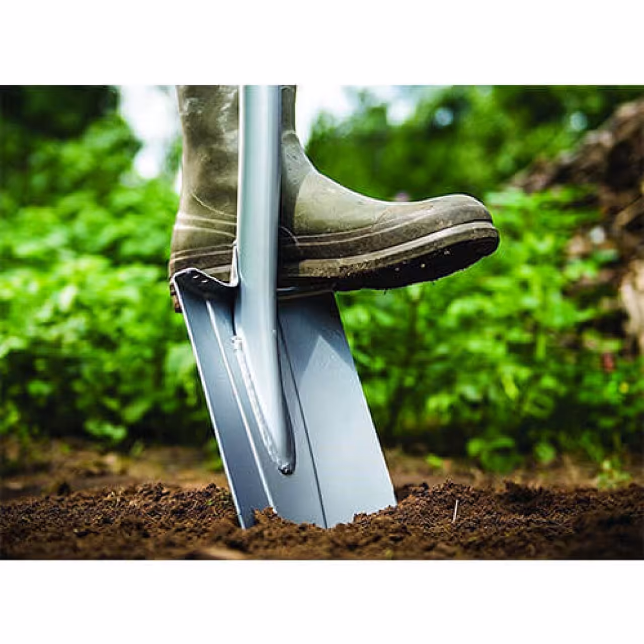 بیل فیسکارس مدل 131481