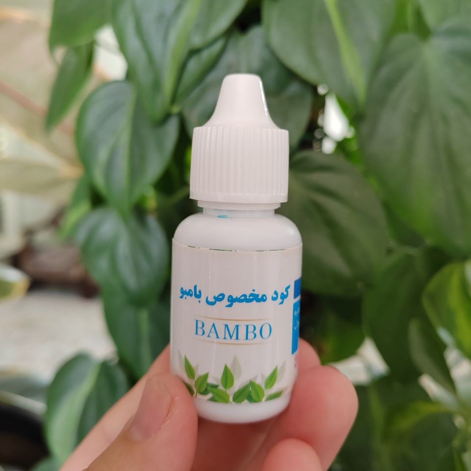 کود مخصوص بامبو محصول کیمیا کود گواشیر کرمان