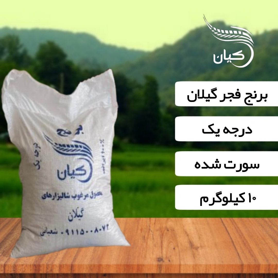 برنج فجر گیلان خوشپخت 10 کیلوگرم محصول شالیزارهای گیلان