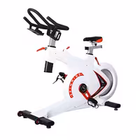 دوچرخه اسپینینگ حرفه‌ای اکوفیت EcoFit مدل EF007