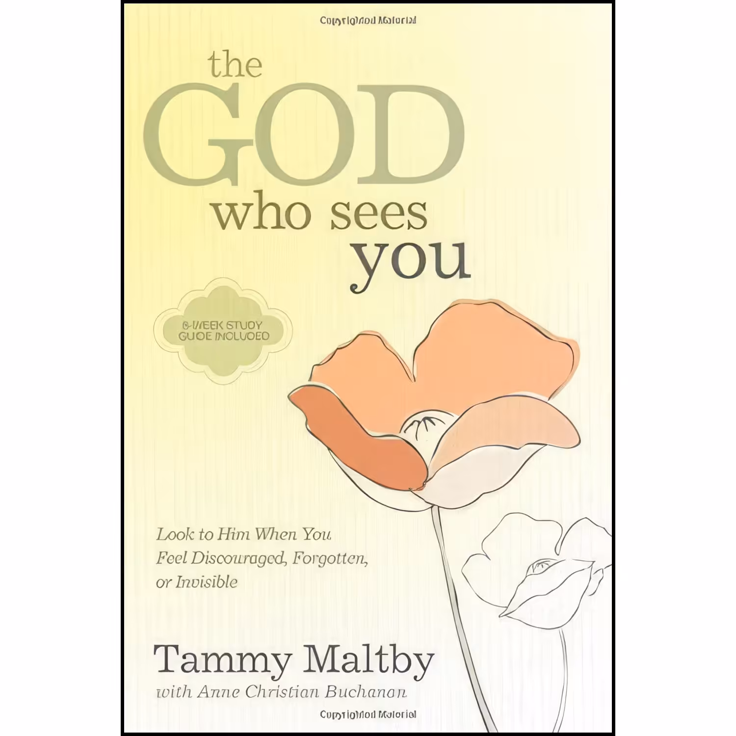 کتاب زبان اصلی The God Who Sees You