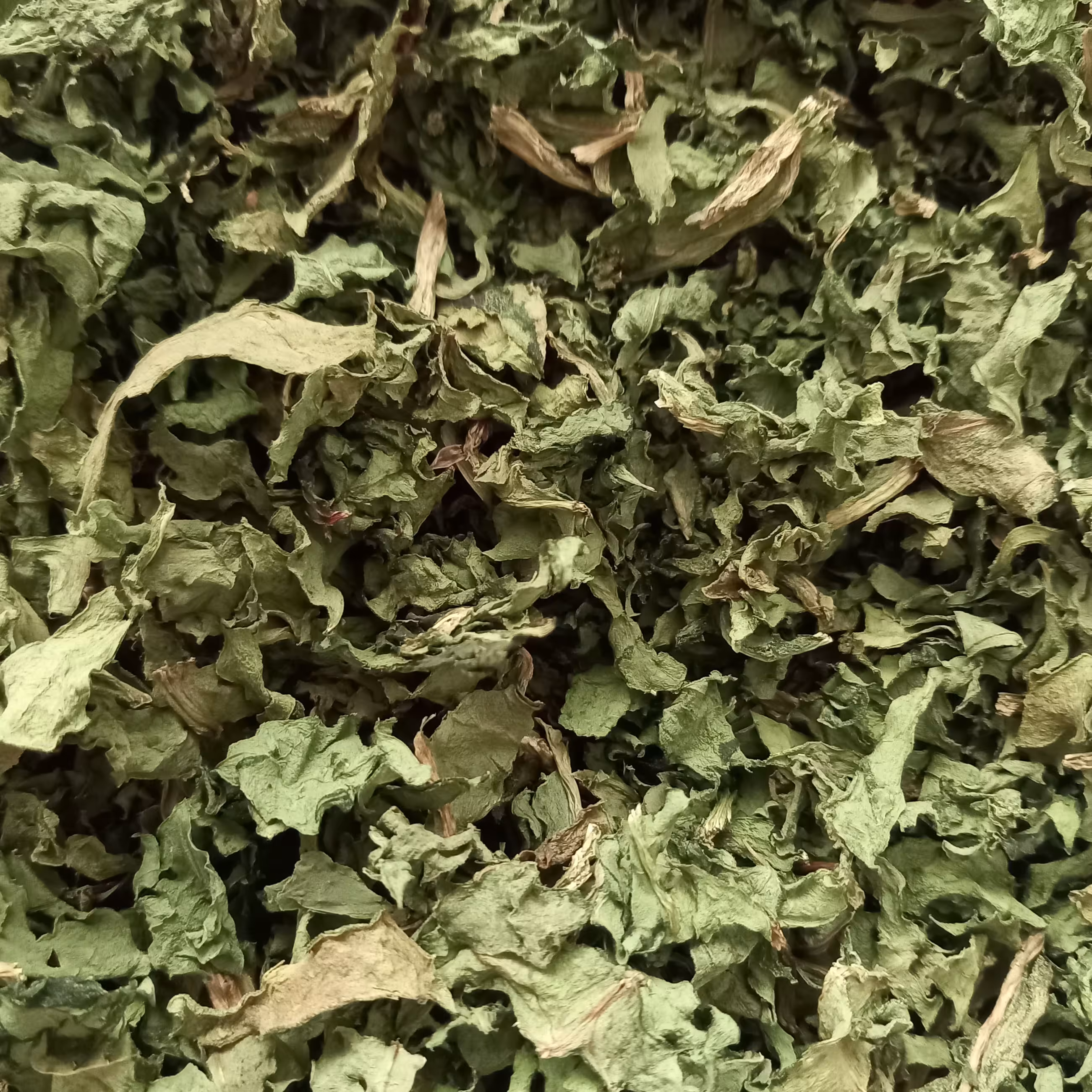 چغندر خشک شده 200 گرمی