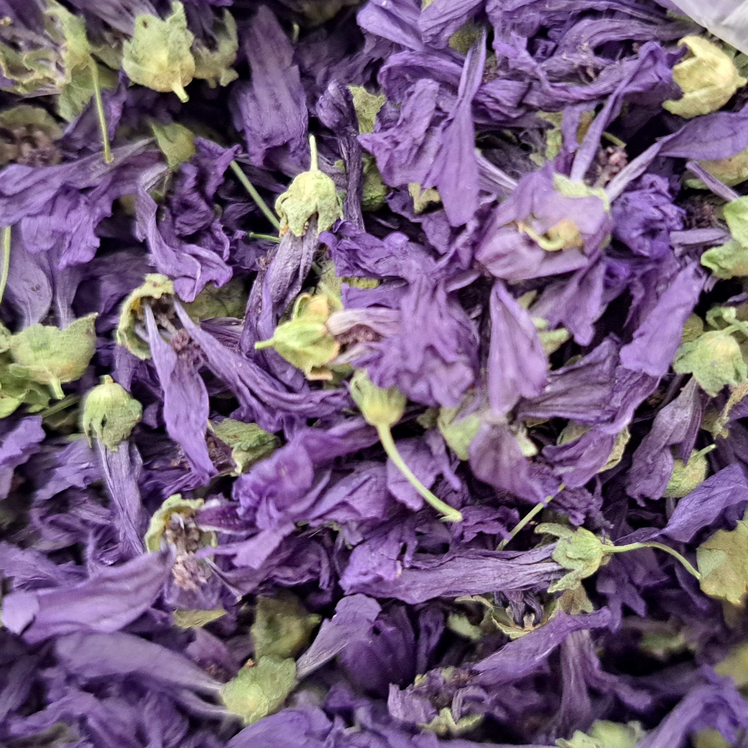 گل ختمی (پنیرک)100 گرمی