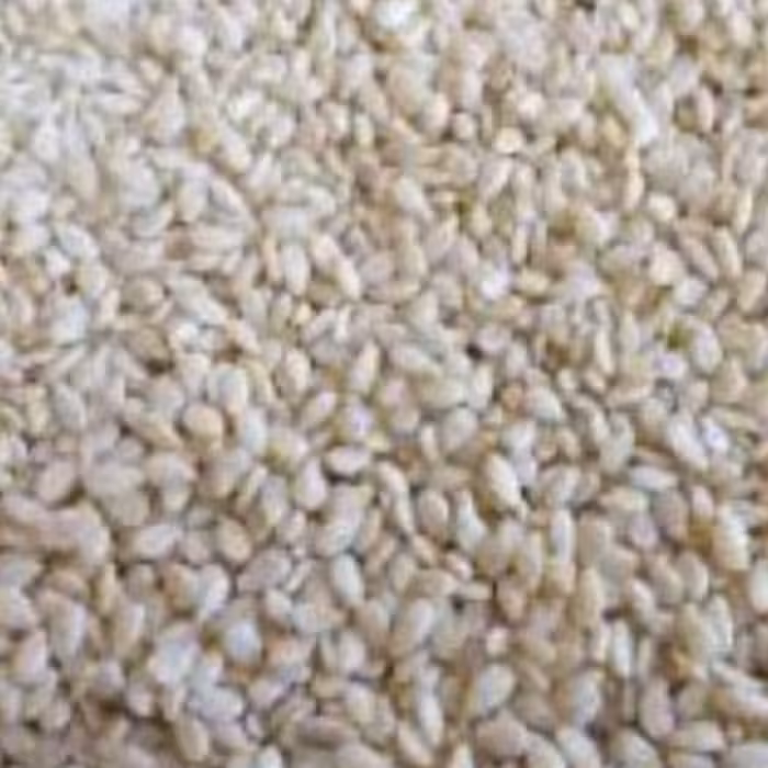 کنجد سفید 100 گرم