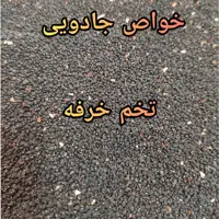 تخم خرفه 4 کیلویی (پس کرایه)