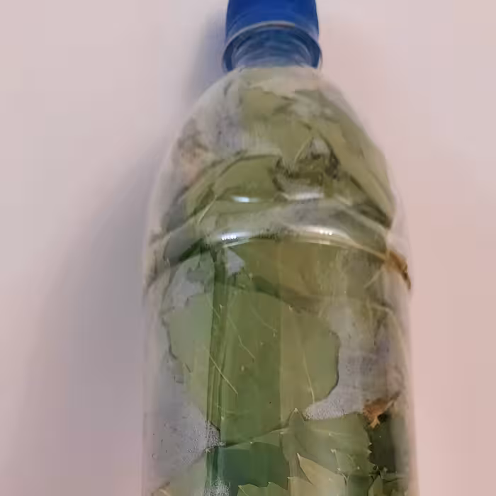 برگ مو کاملا نرم و لطیف در بطریهای نوشابه ،بدون آب نمک و کاملا خشک