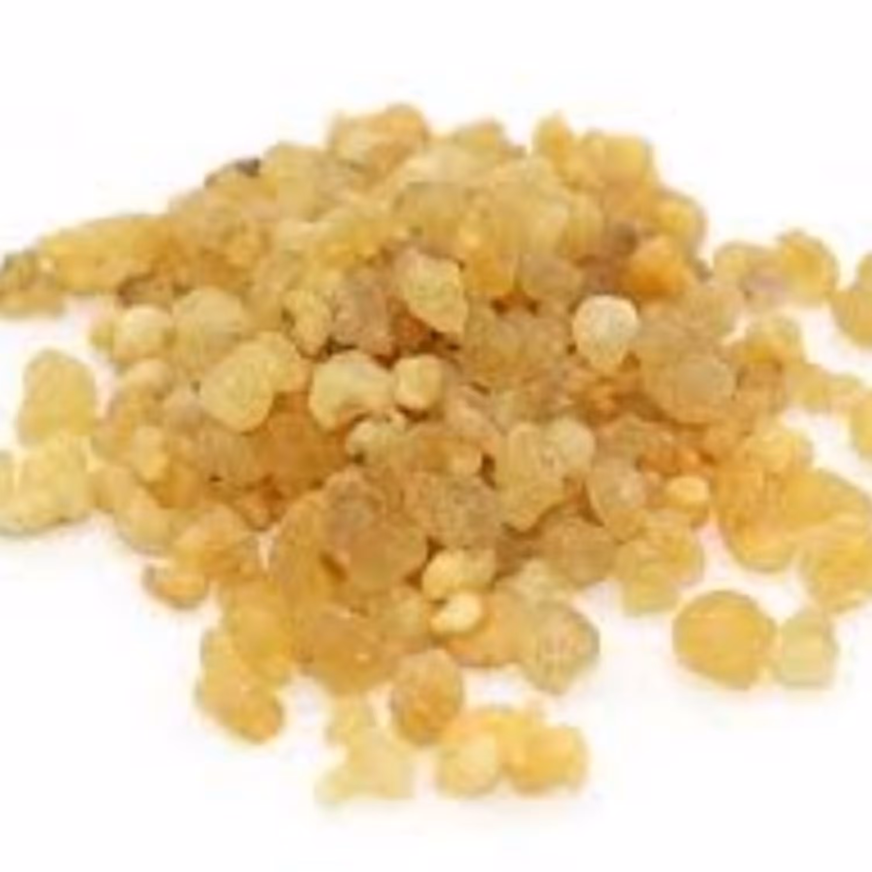 مصطکی اصل (10 گرم)