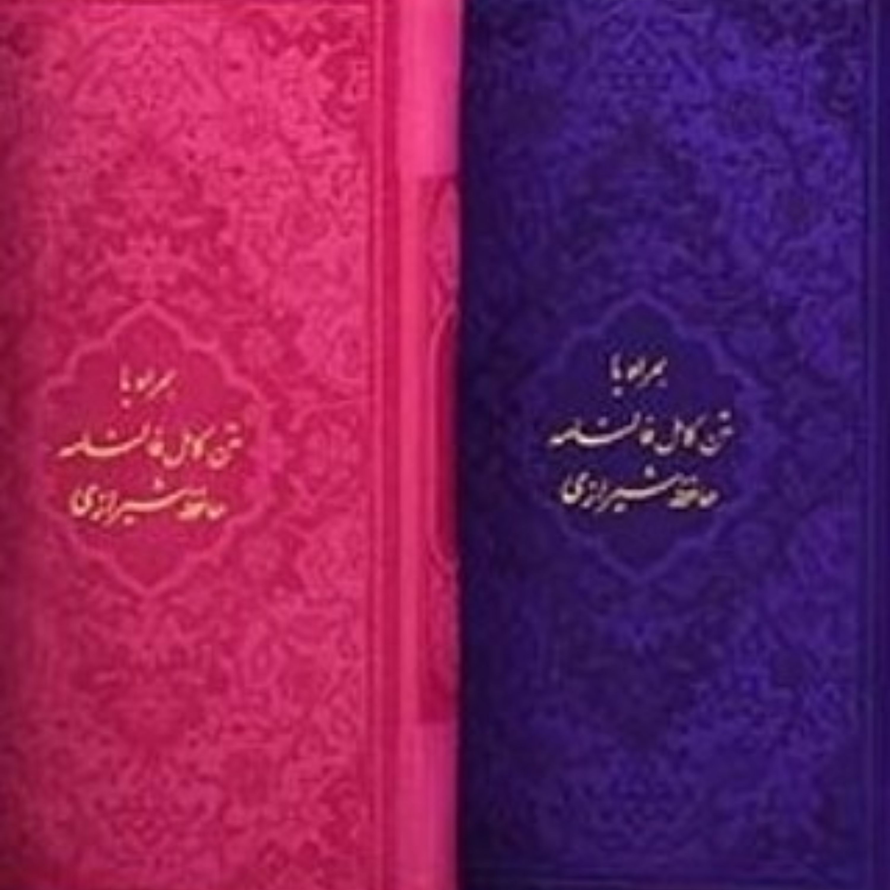کتاب فال حافظ پالتویی