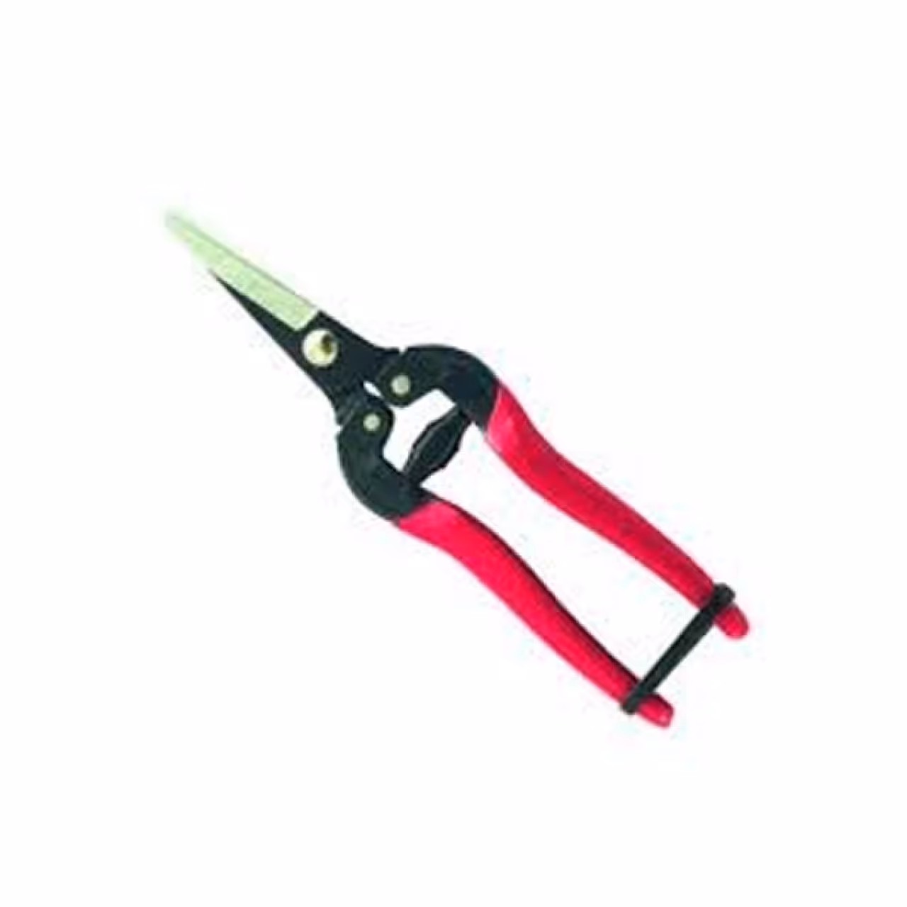 قیچی میوه چین بلند صاف سومیو مدل KC-C3154