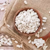 لوبیا سفید درجه یک به قیمت عمده 