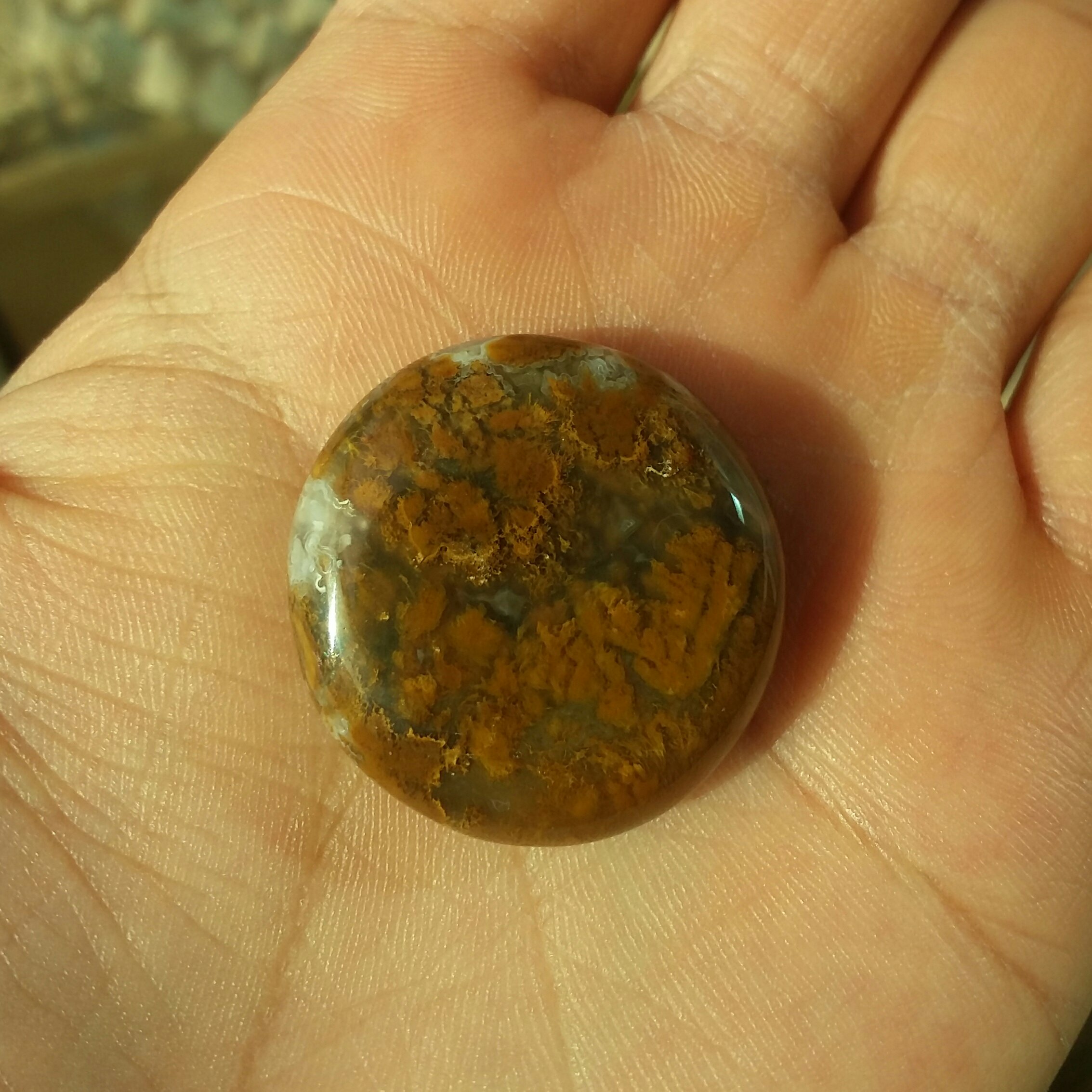 شجر پاییزی بسیار زیبا طبیعی بدون بهسازی دوطرف پولیش سایز درشت مدالی