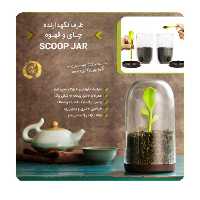 ظرف نگهدارنده چای و قهوه جوانه سایز بزرگ