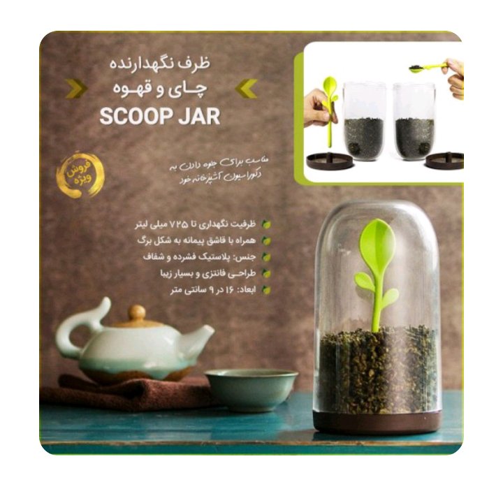 ظرف نگهدارنده چای و قهوه جوانه سایز بزرگ
