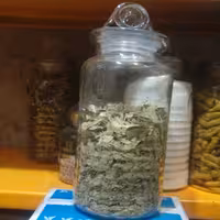 برگ سنا اعلا یک کیلو گرمی