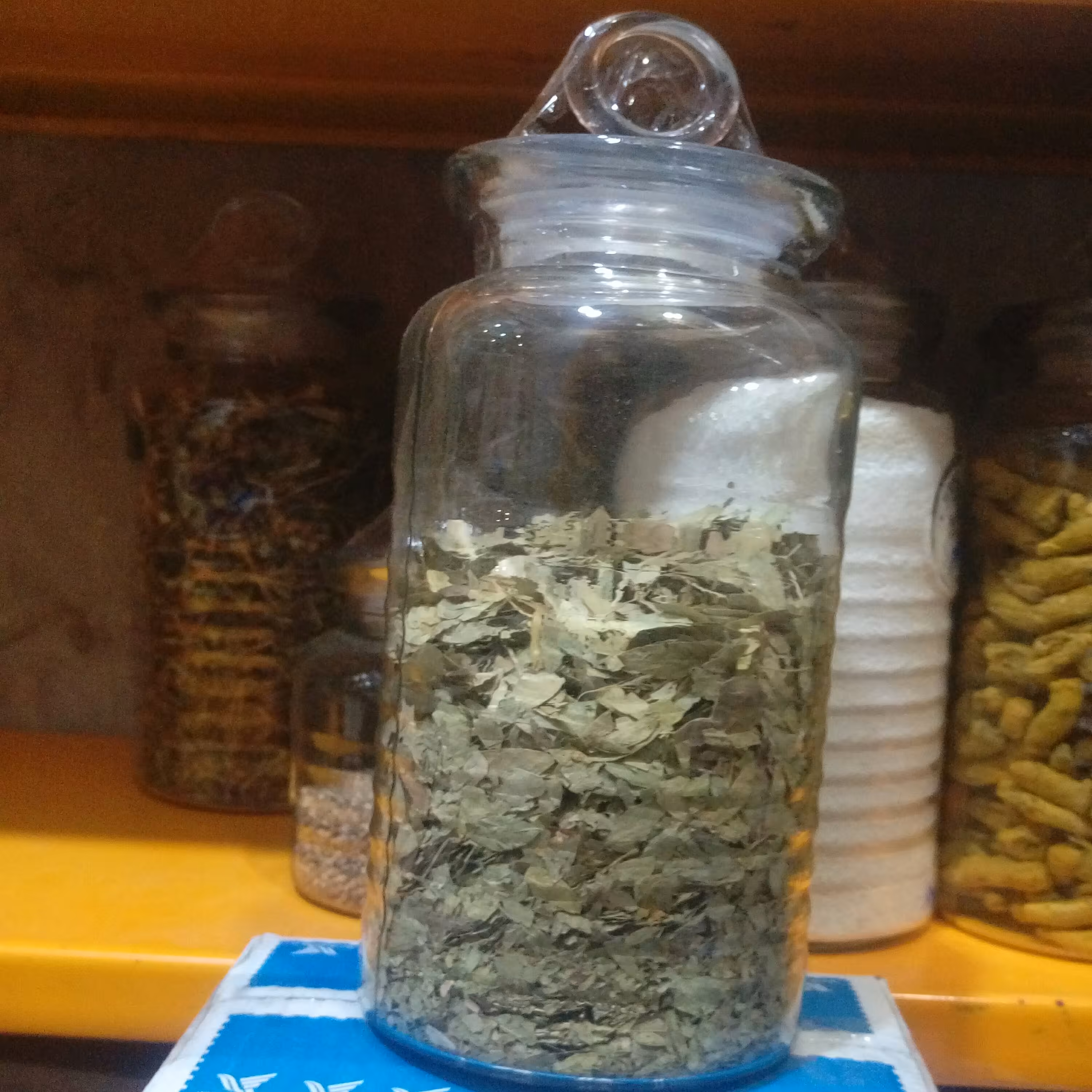 برگ سنا اعلا یک کیلو گرمی