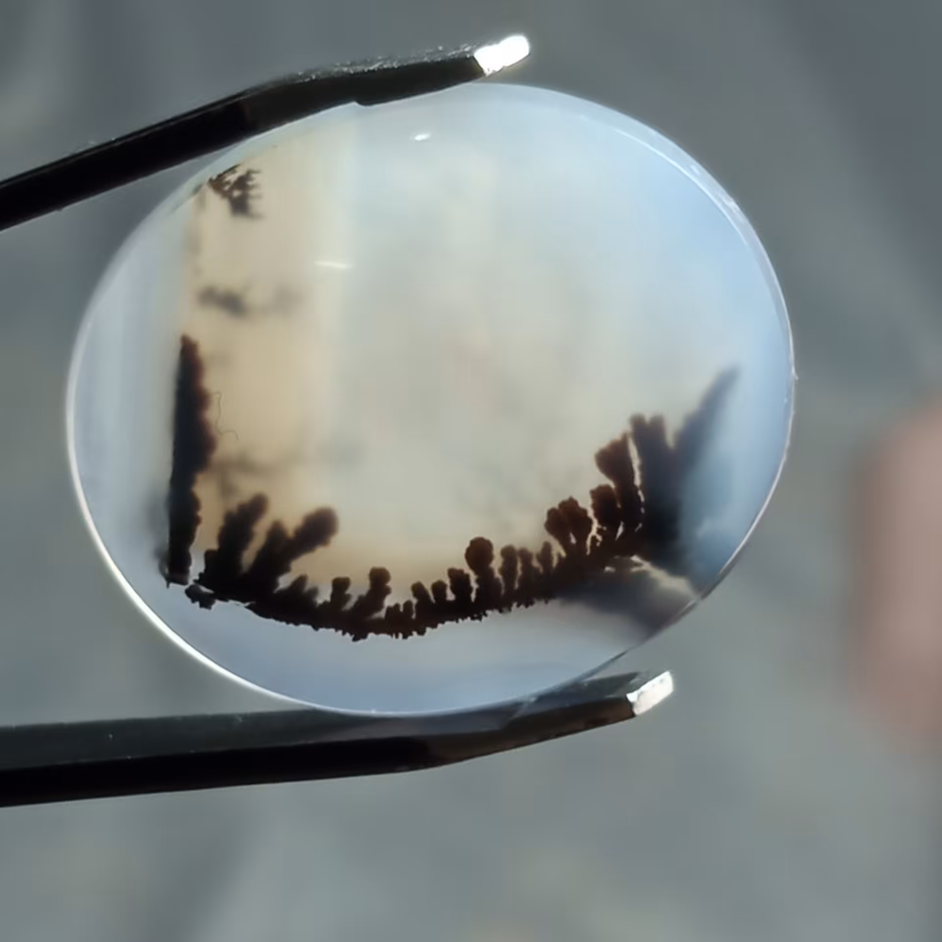 نگین بسیار زیبای شجر قائن درختان کشیده طبیعی مناسبت انگشتر و..