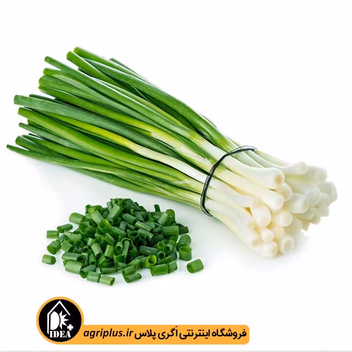بذر پیازچه بسته بندی خانگی
