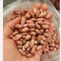 بادام زمینی آستانه سایز ریز امسالی (نیم کیلو) استانه