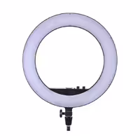 رینگ لایت گودکس Godox Ring Light LR160 Bi-Color