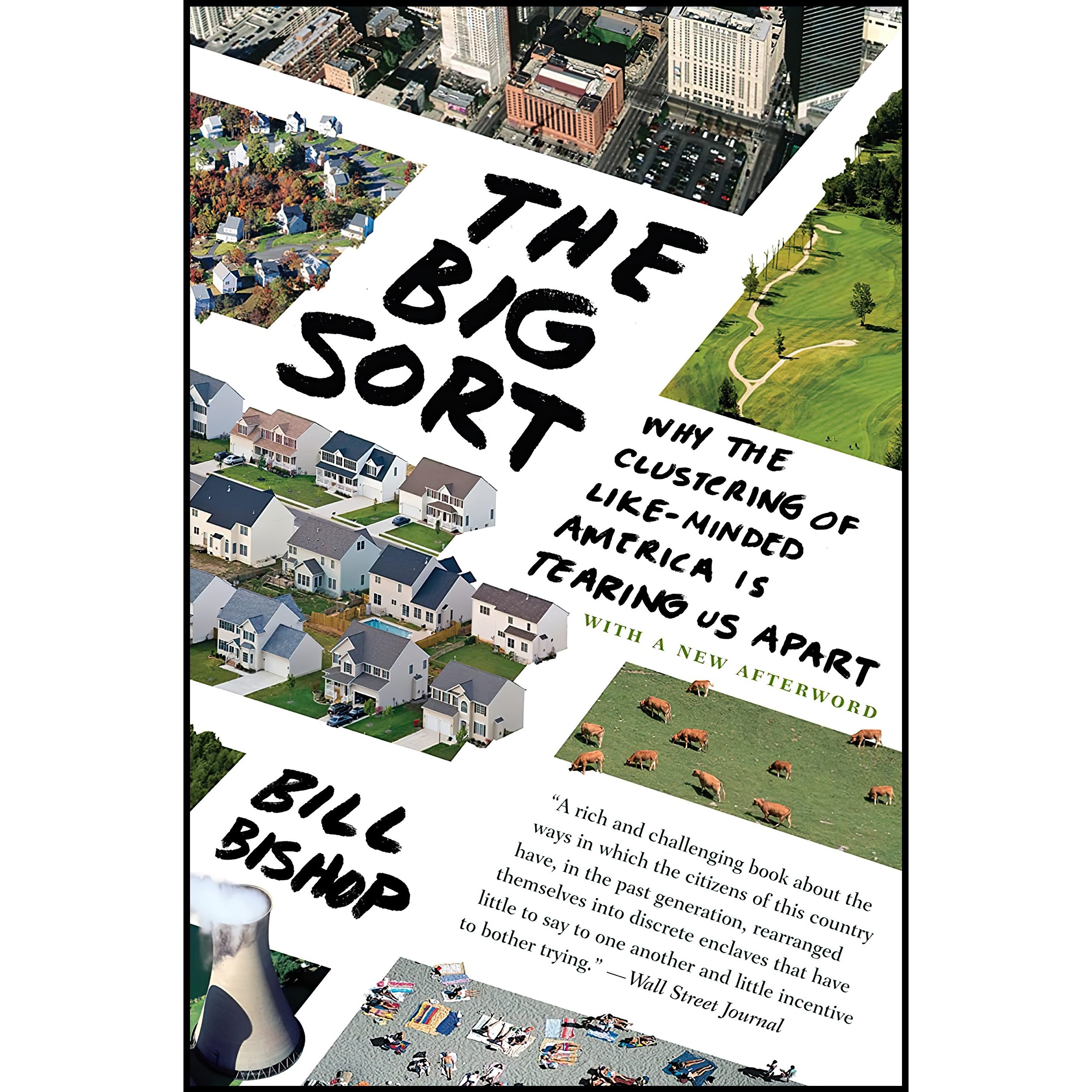 کتاب زبان اصلی The Big Sort اثر Robert G Cushing and Bill Bishop