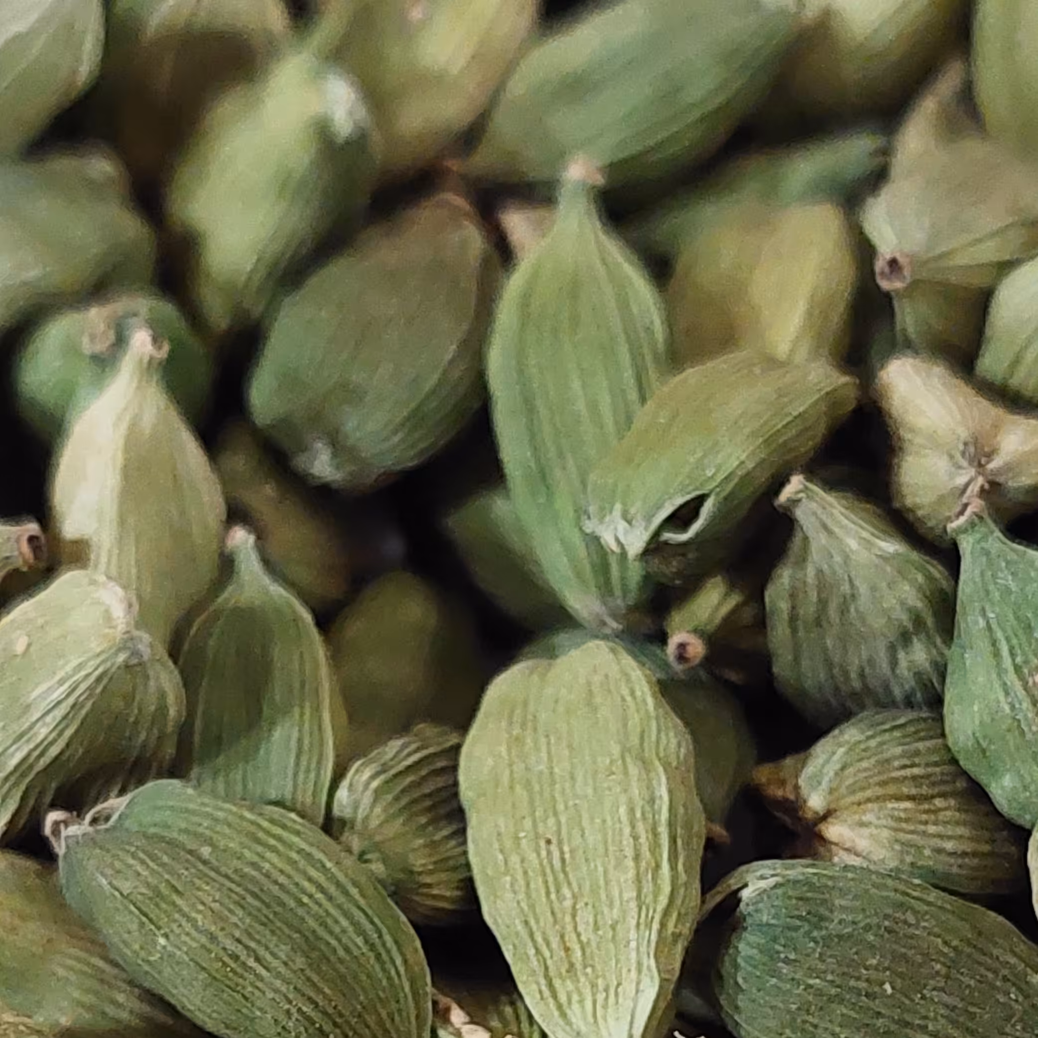 هل اکبر بنفش اعلا و درشت  35 گرمی