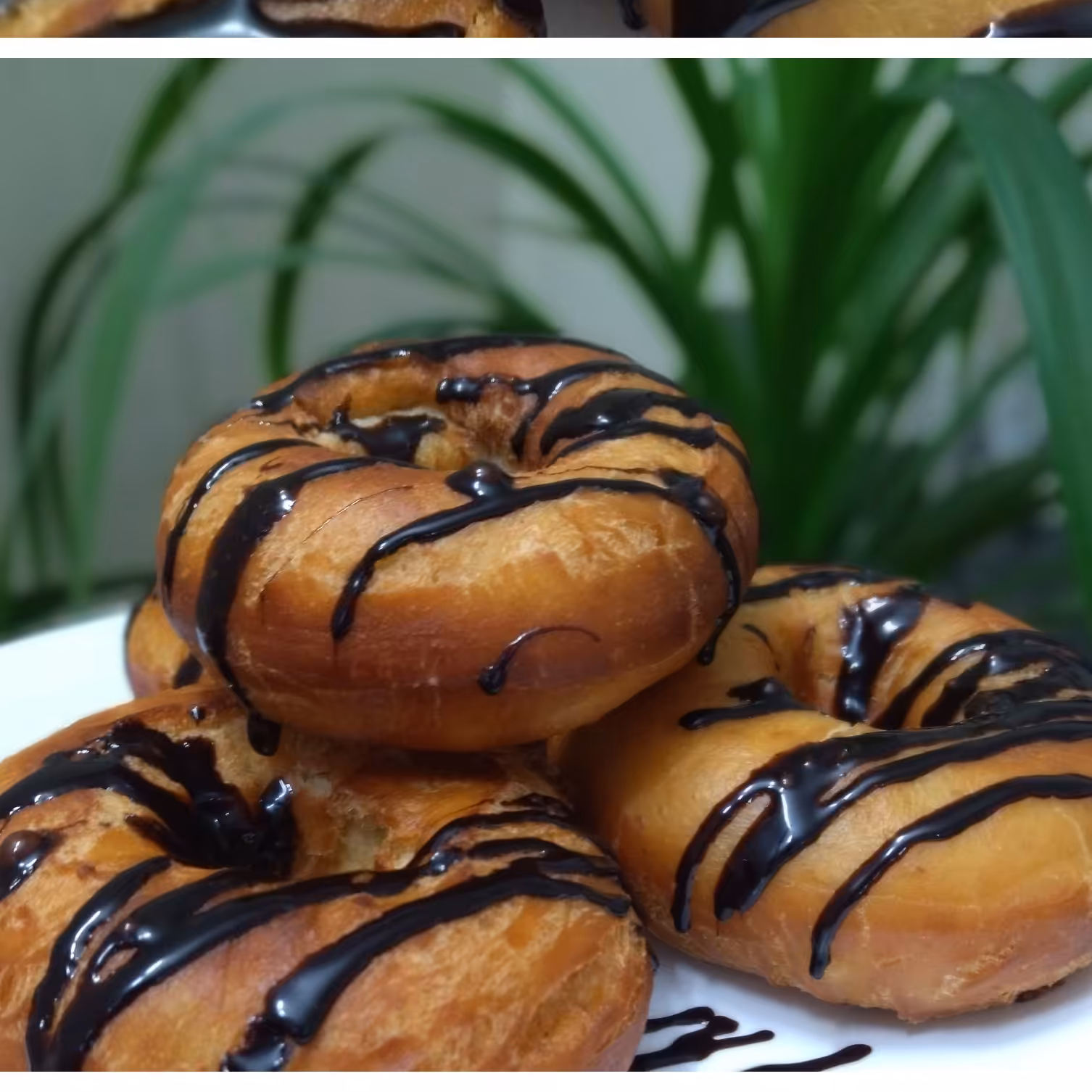 پودر دونات خانگی(480گرم)