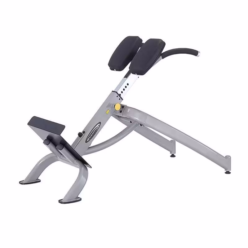 نیمکت فیله کمر استیل فلکس 45 درجه Steel Flex NBE