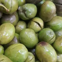 زیتون شکسته محلی رودبار پارساله