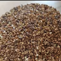 کنجد محلی(ایرانی) تمیز شده بدون آشغال و تفت داده شده پک 1 کیلویی