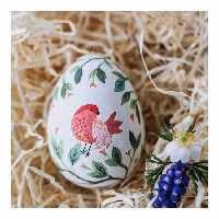 تخم مرغ سفالی