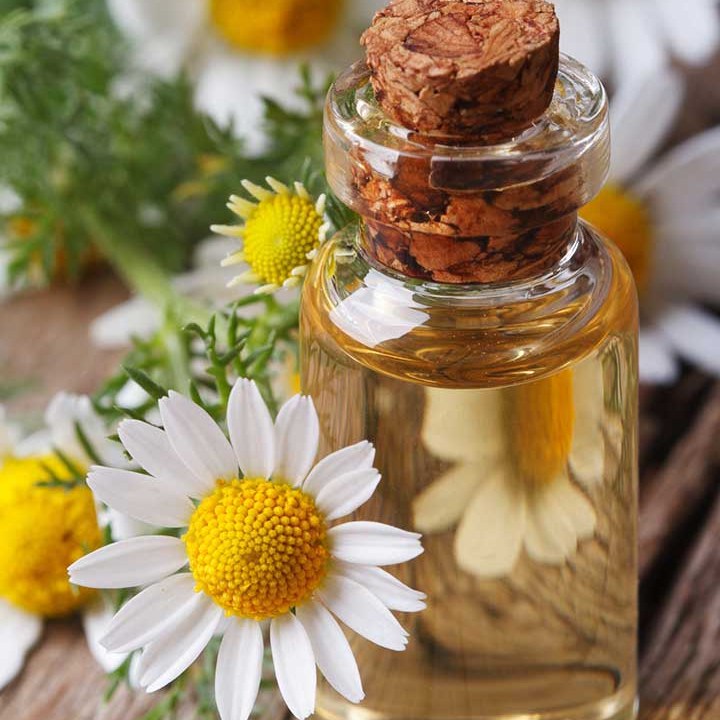 روغن گیاهی بابونه درجه یک در بسته بندی 100 سی سی با قیمت مناسب