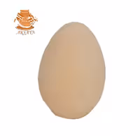 تخم مرغ سفالی

