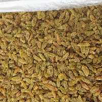 کشمش سبز قلمی کاشمر _ 4.5 کیلو خالص _ ارسال رایگان 