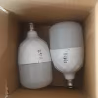 پکیج لامپ شامل دو عدد لامپ 30 وات 