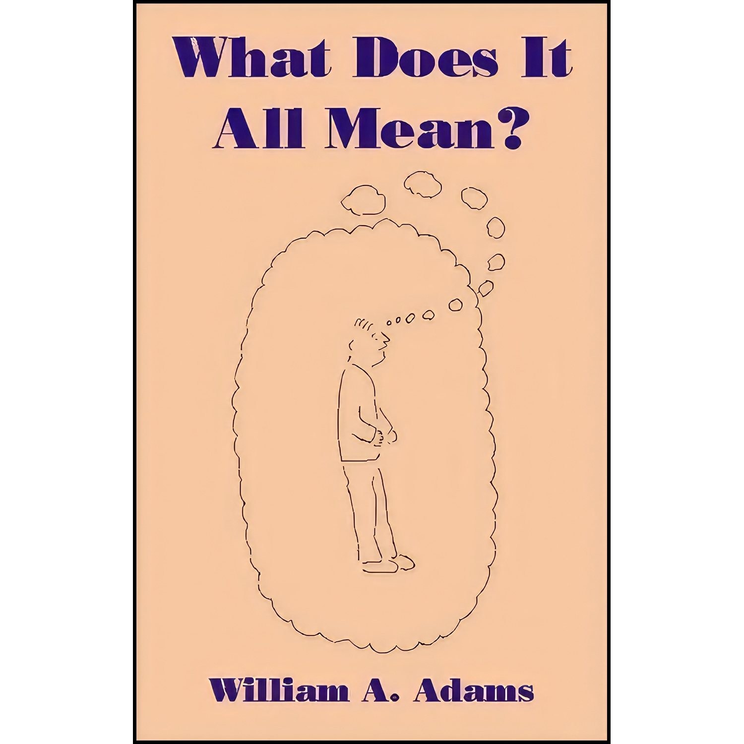 کتاب زبان اصلی What Does it All Mean اثر William A Adams