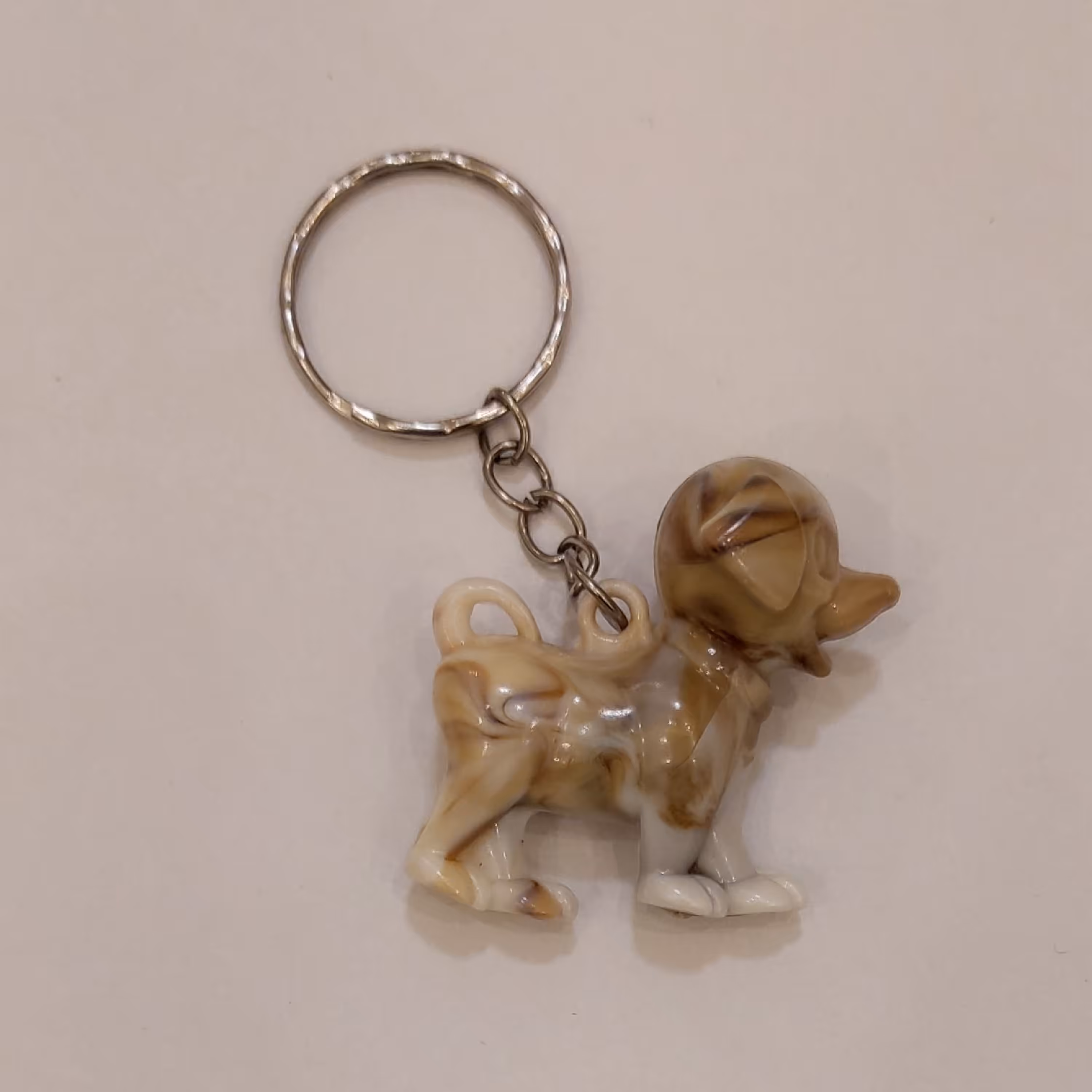 جاکلیدی سگ ایستاده