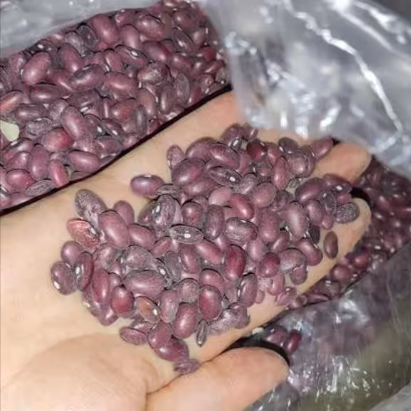 لوبیا قرمز درجه یک و اعلا (900گرمی)