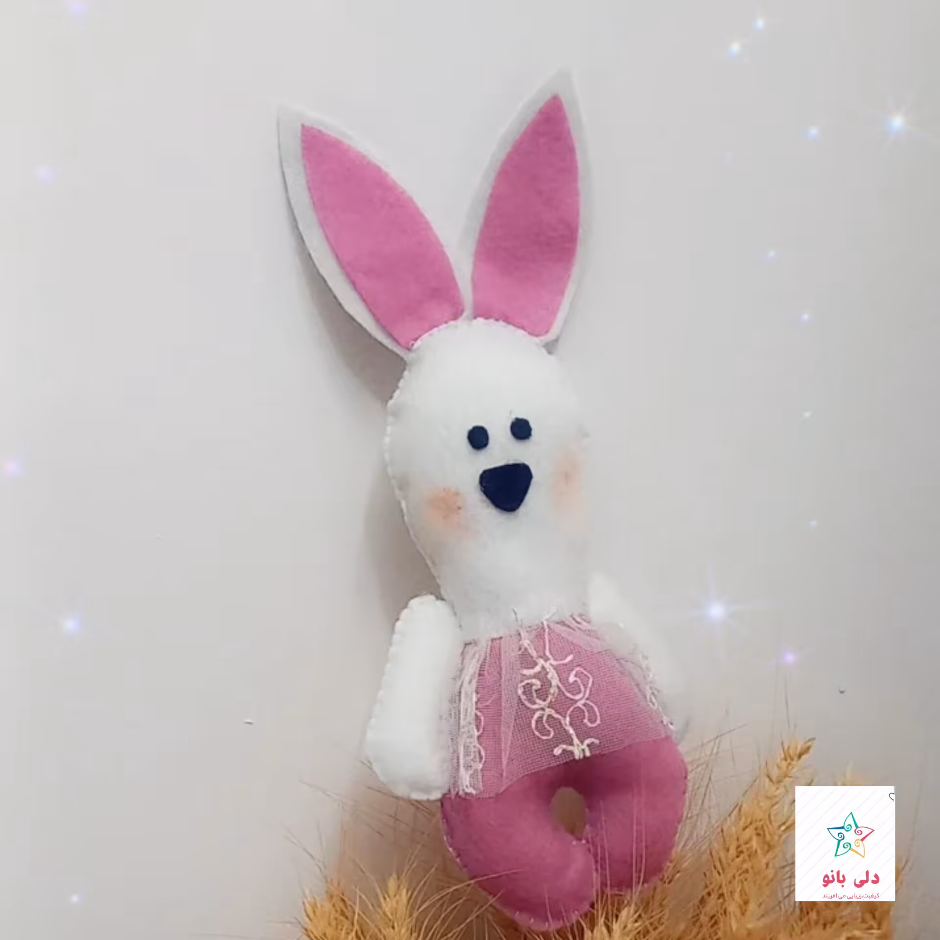 خرگوش نمدی کیوتی در رنگ بندی