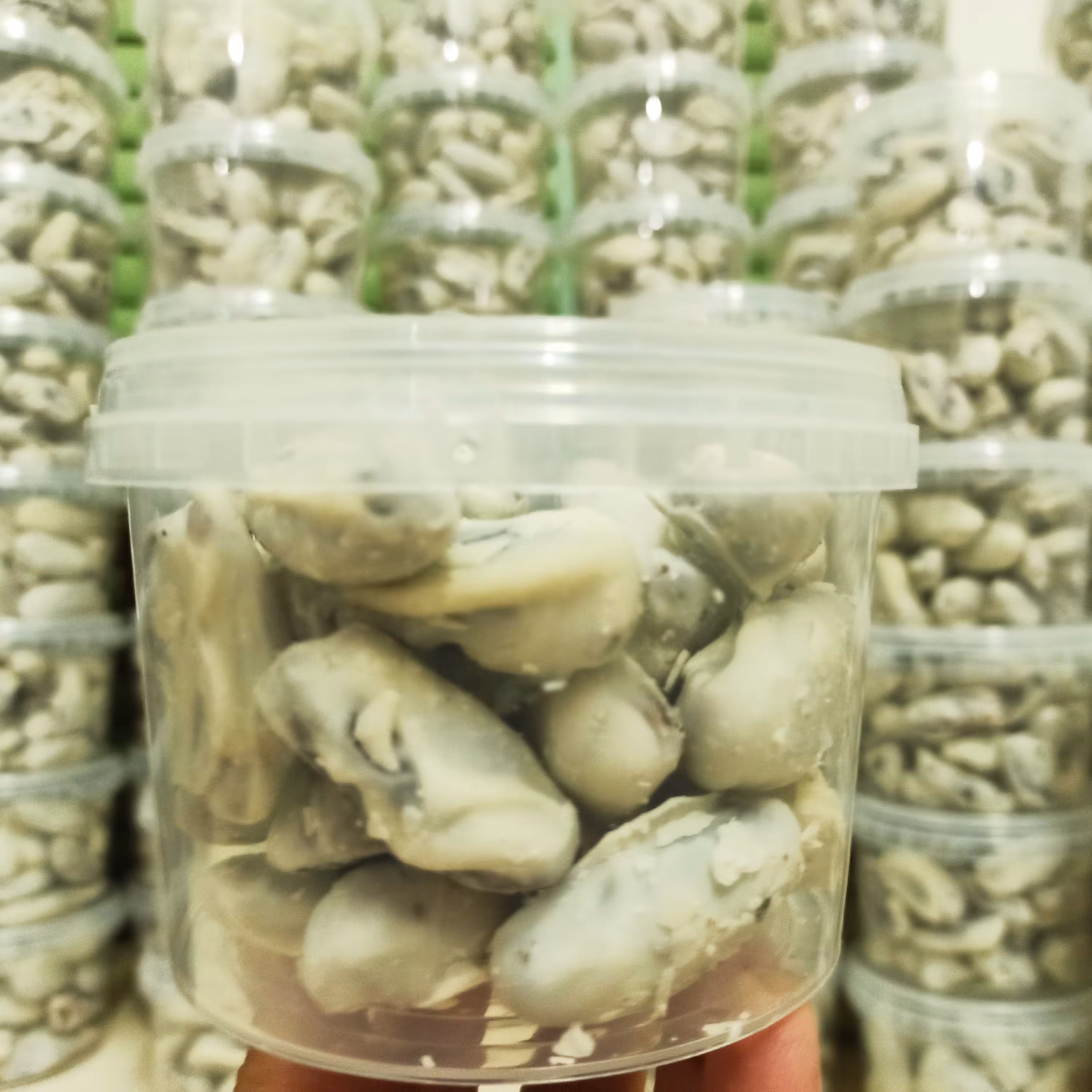 خرما شکلات بدون مغز سیصد گرمی با طعم شیرموز