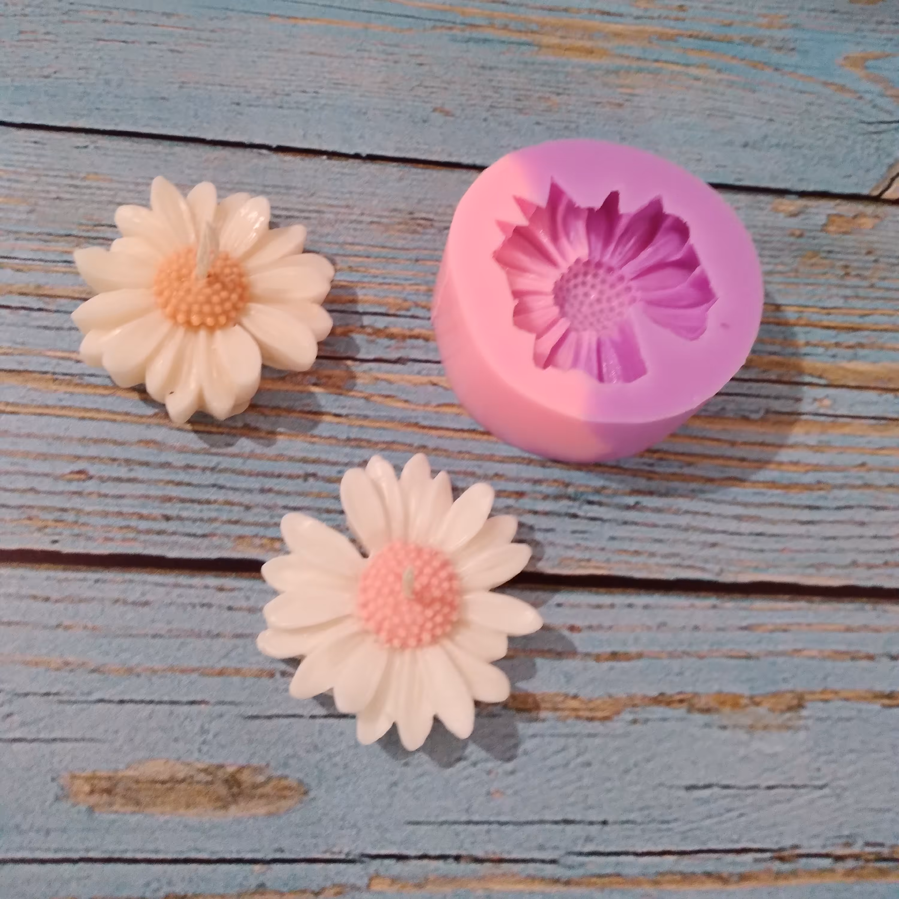 قالب گل مارگاریت