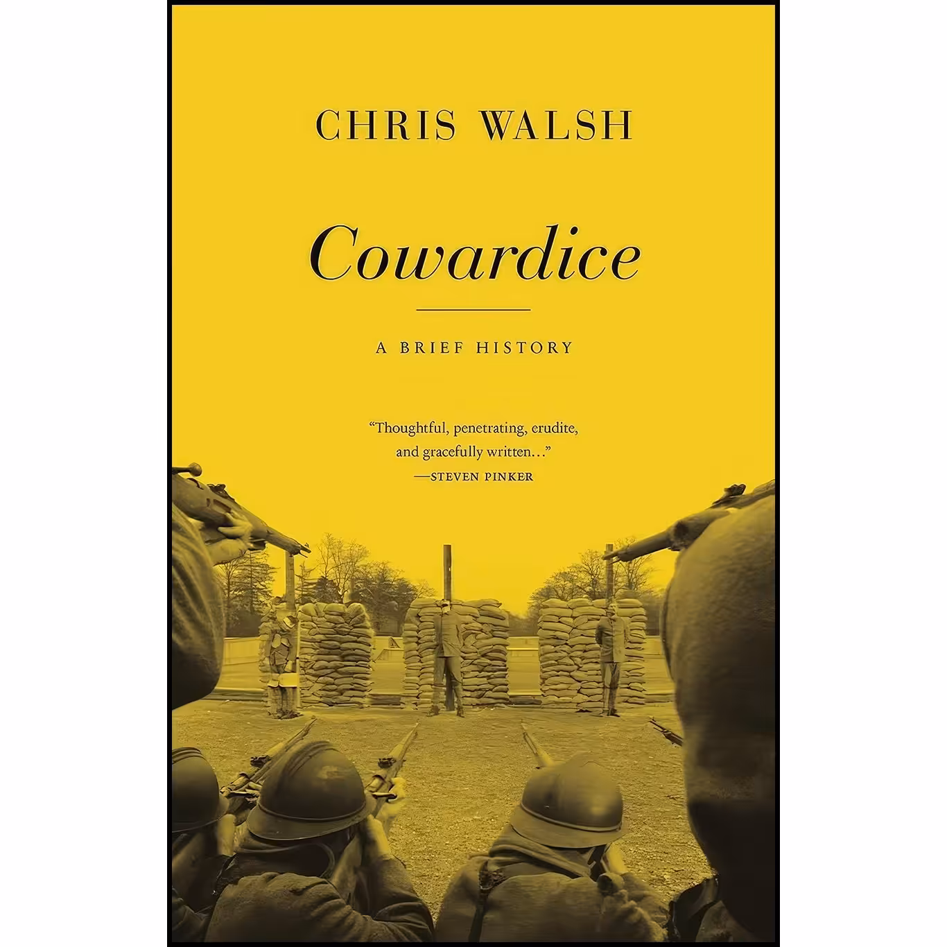 کتاب زبان اصلی Cowardice اثر Chris Walsh انتشارات Princeton University Press