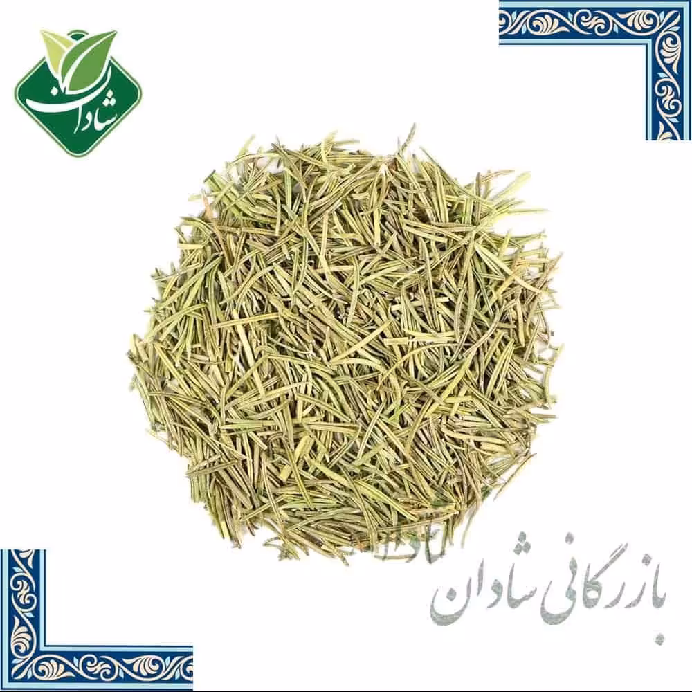 رزماری خشک اعلاء 100 گرم