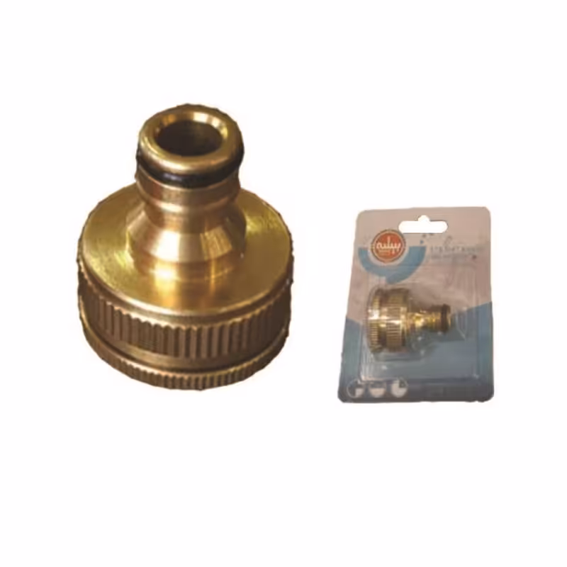 سر شیر برنجی