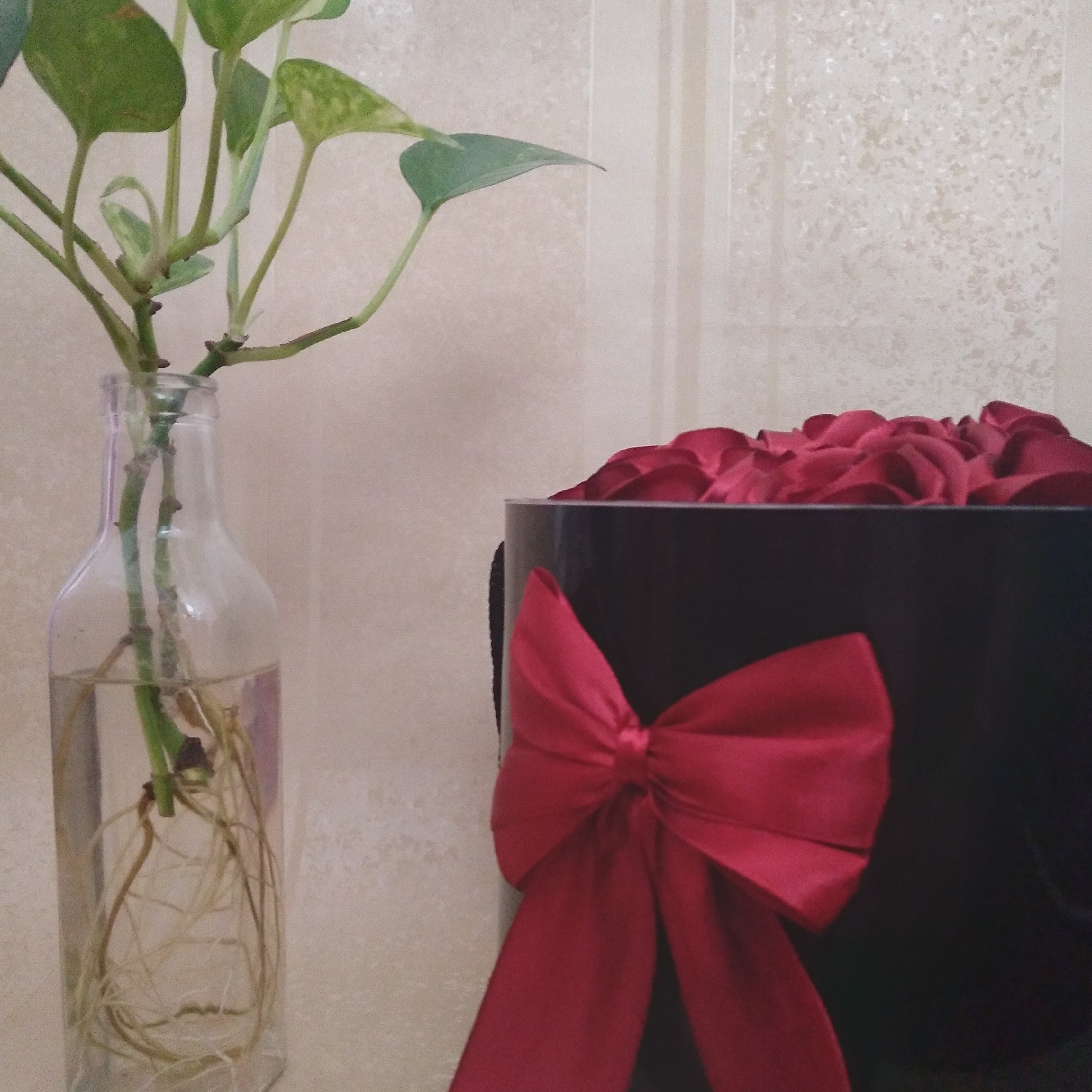 باکس گل مناسب برای کادو