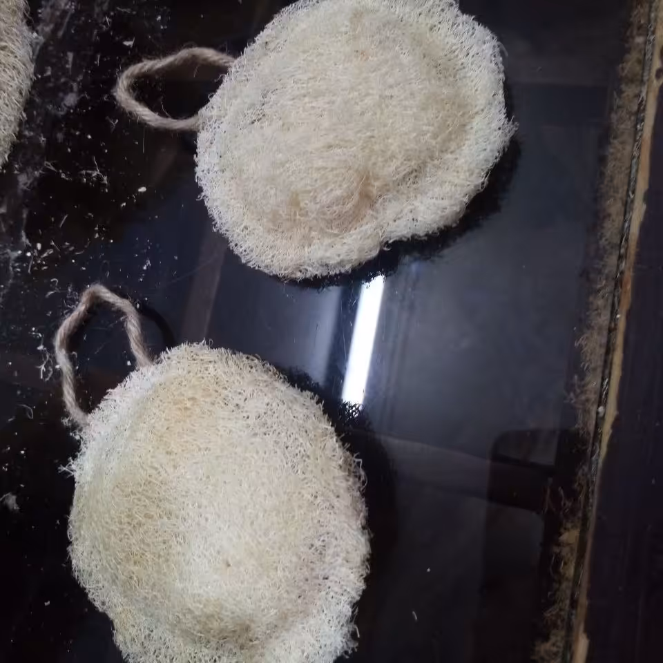 لایه بردار  و پد صورت لوفا  مدل دایره ای دوطرفه  وزن 10 گرم رنگ سفید سایز  8 در 8